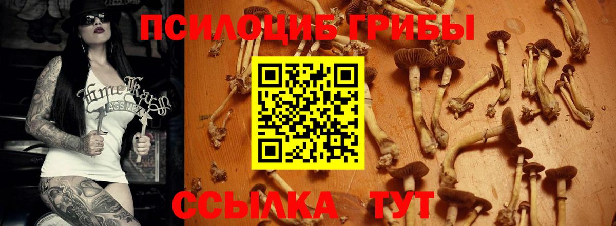 Галлюциногенные грибы Magic Shrooms Барабинск